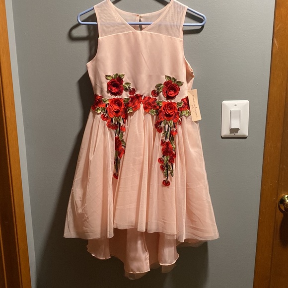 BRAND NEW GIRLS DRESS SIZE 14! NWT. SMOKE FREE HOME. - Picture 3 of 8